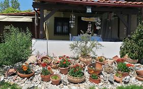 Country Village